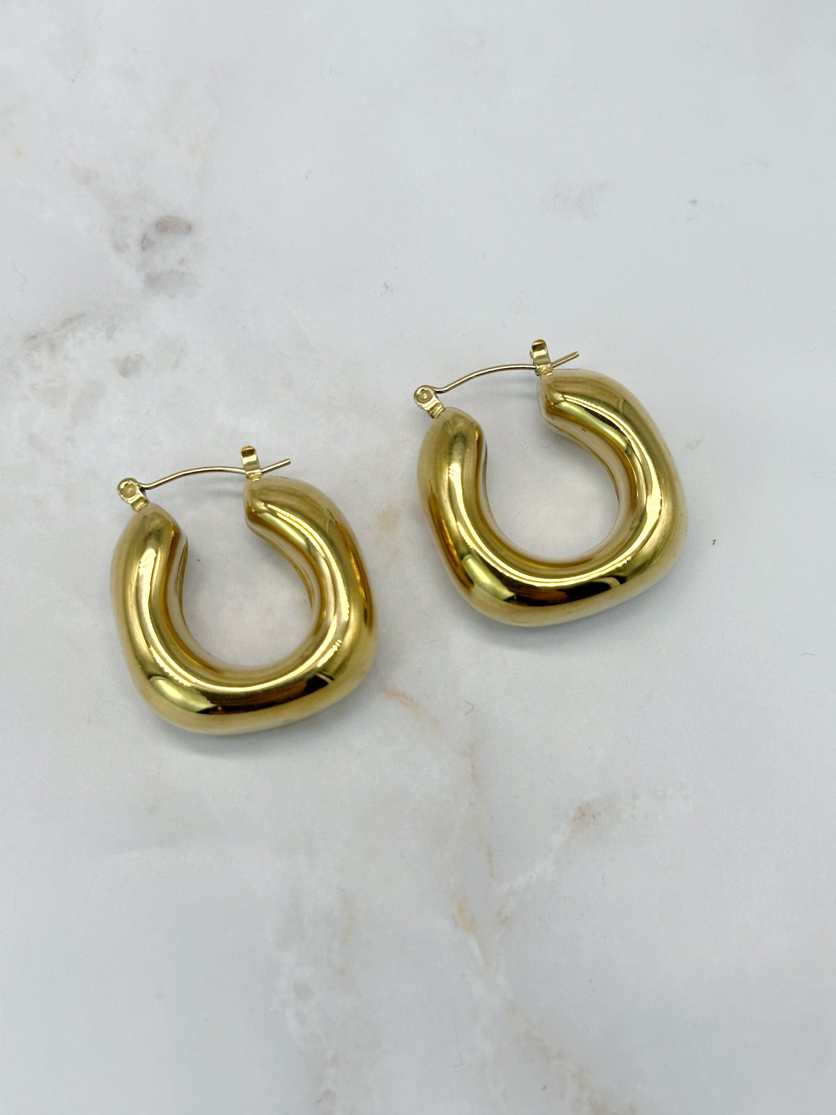 Hoop Earrings