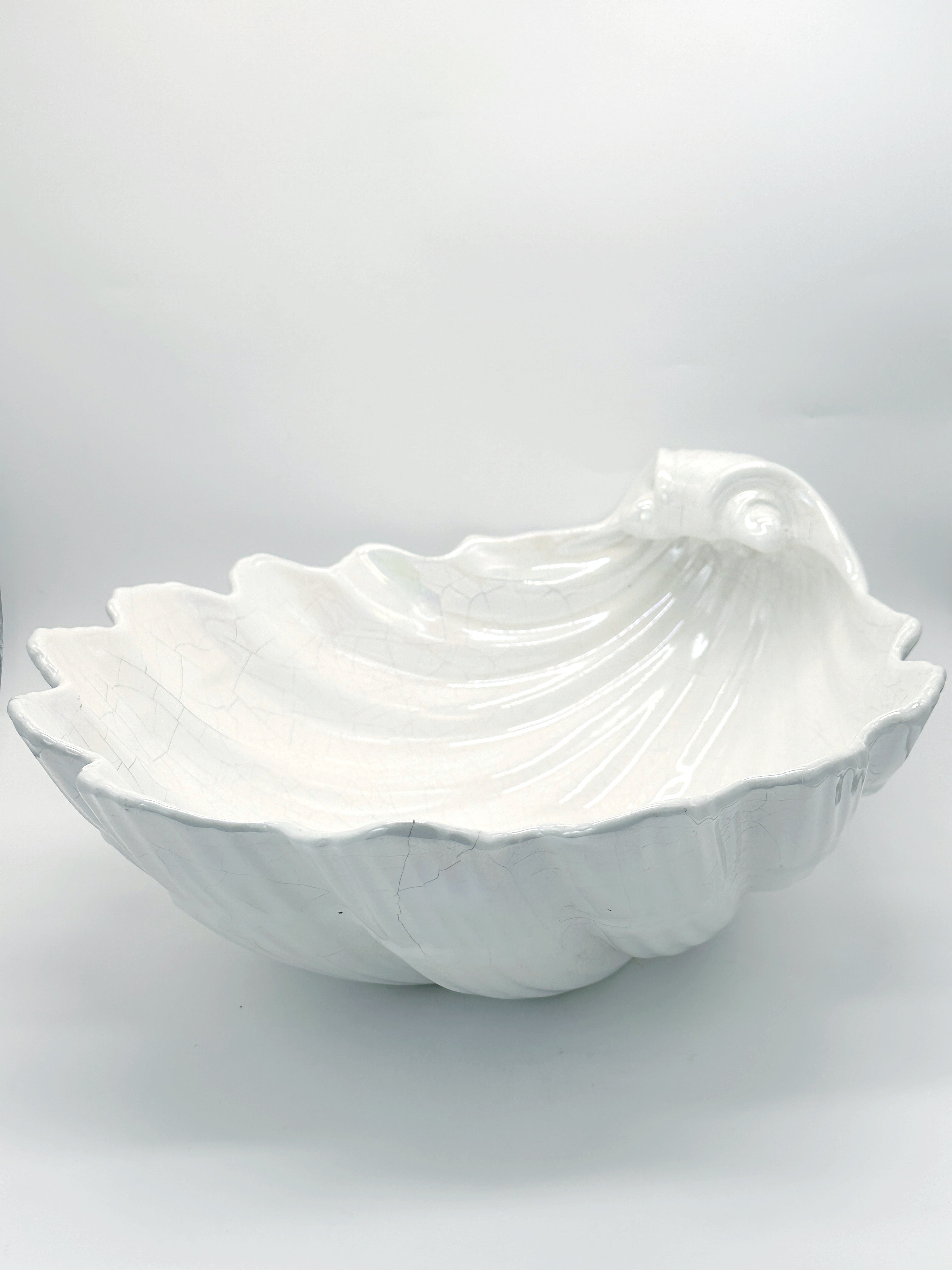 Prächtige Muschelschale mit Perlmutt-Schimmer