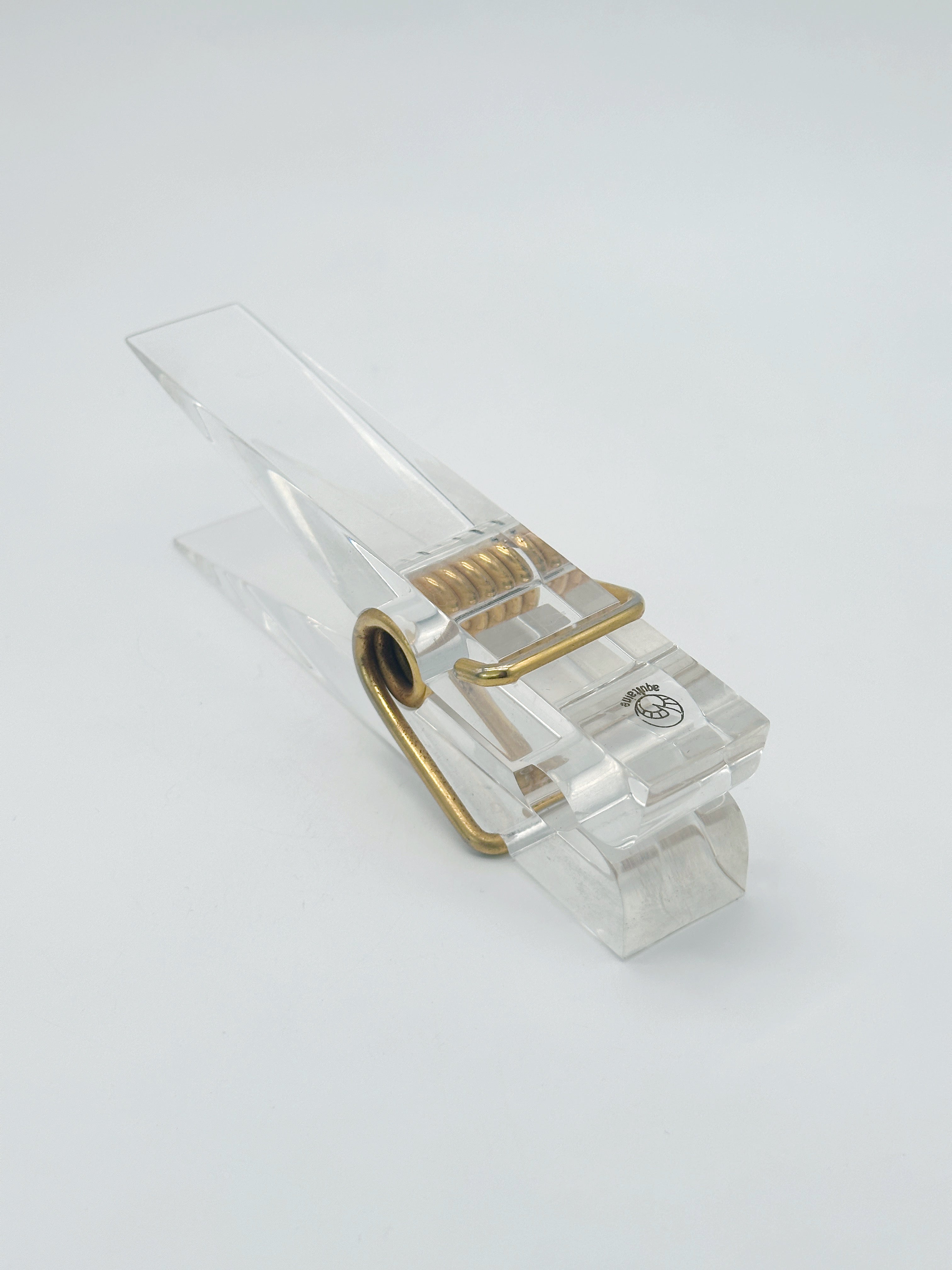 Große Wäscheklammer aus Lucite von Aquitaine