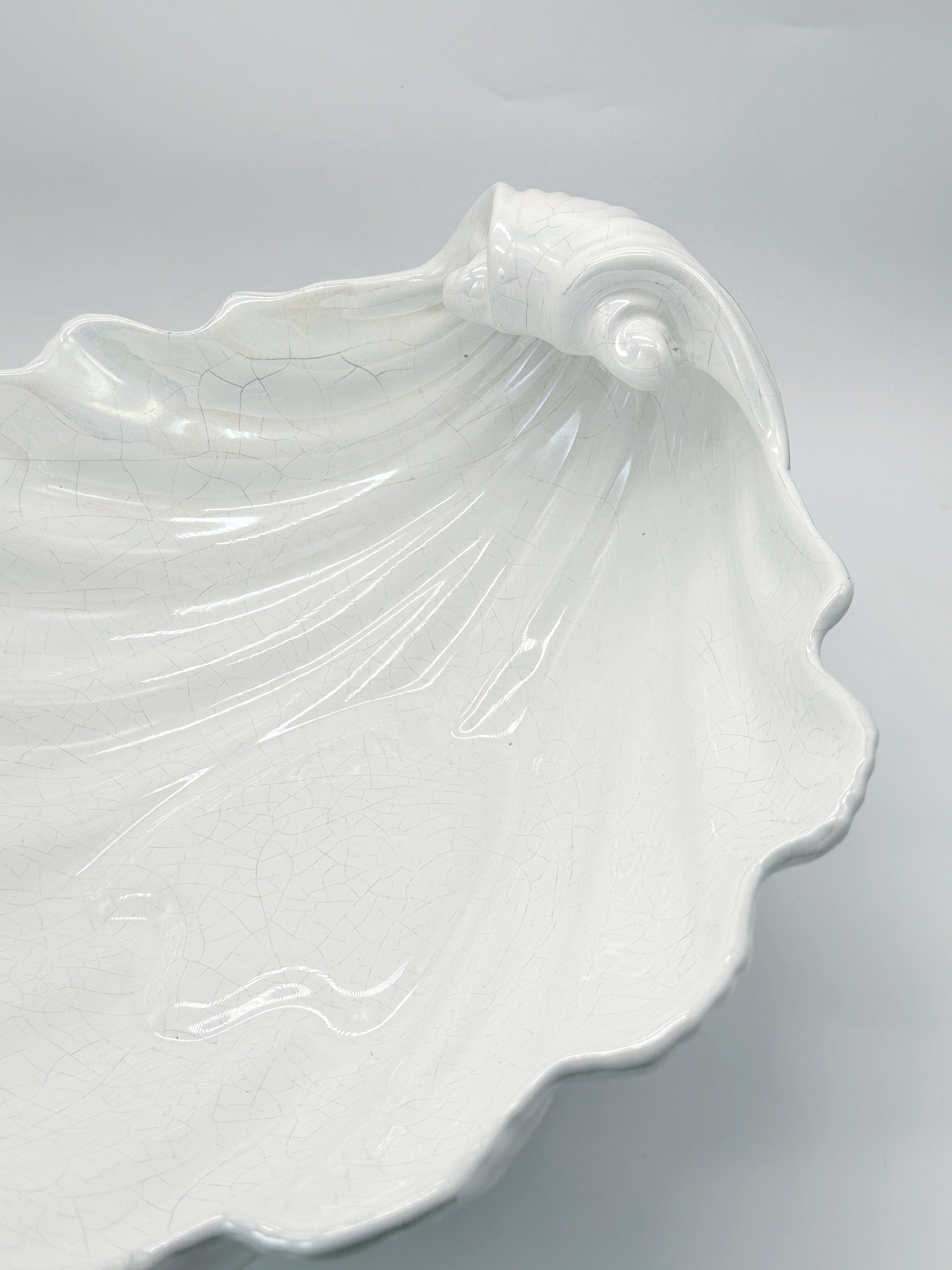 Prächtige Muschelschale mit Perlmutt-Schimmer