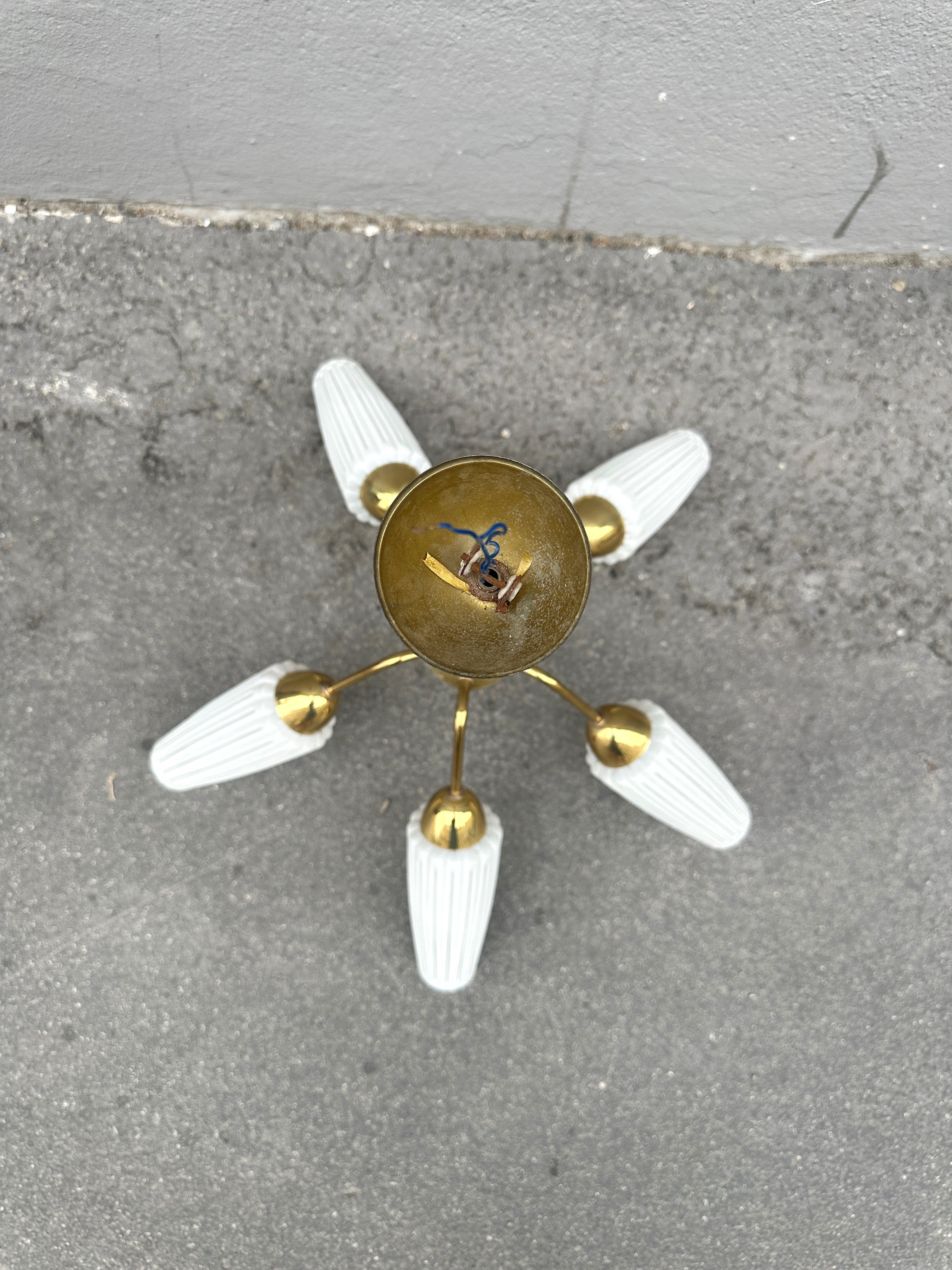 Mid-Century Luster um 1950 mit gerillten Glasschirmen