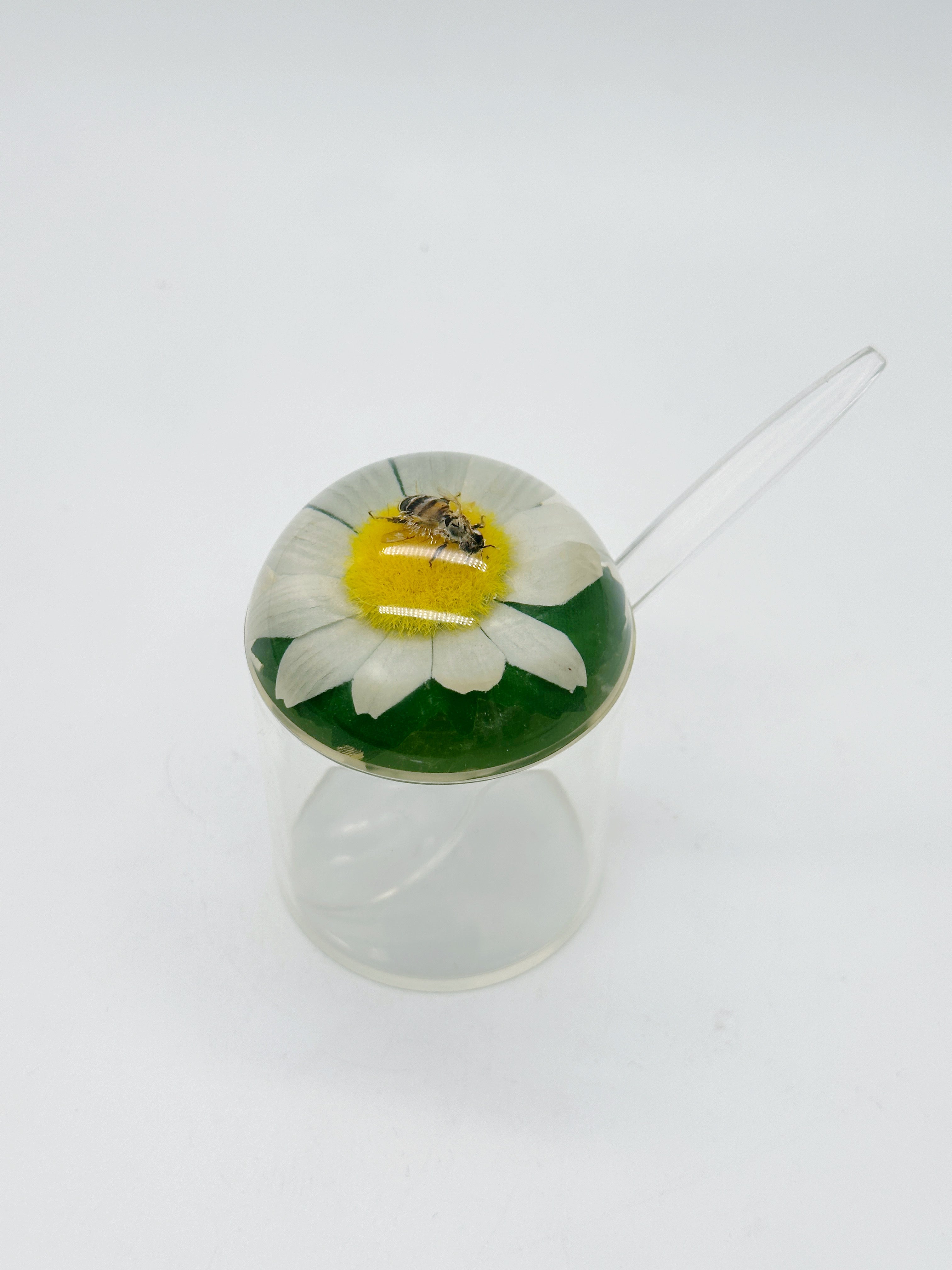 Vintage Lucite Vorratsglas mit Motiv und passendem Löffel
