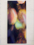 Amelie Goetzl, from the 12-part series: SEQUENCES, 2024, No. X, photograph digitally printed on velvet, 125 cm x 55 cm 